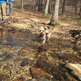 Review photo of Turnipseed Campground by Asher K., June 1, 2018