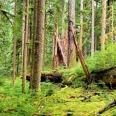 Review photo of Sol Duc Hot Springs Resort Campground — Olympic National Park by Alex T., April 29, 2021