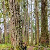 Review photo of Sol Duc Hot Springs Resort Campground — Olympic National Park by Alex T., April 29, 2021