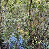 Review photo of Chickasabogue Park - Temporarily Closed by Larry K., April 29, 2021