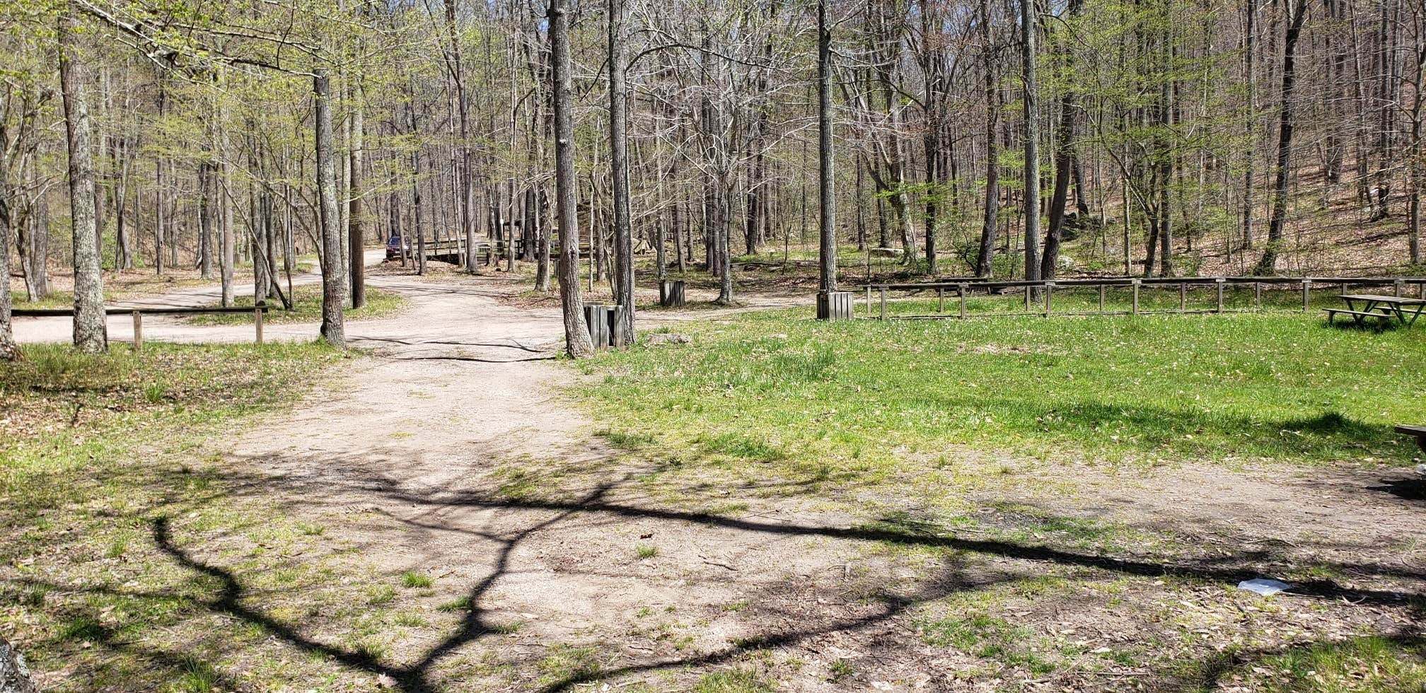 Camper-submitted photo at Plum Orchard Lake WMA near Summersville, WV