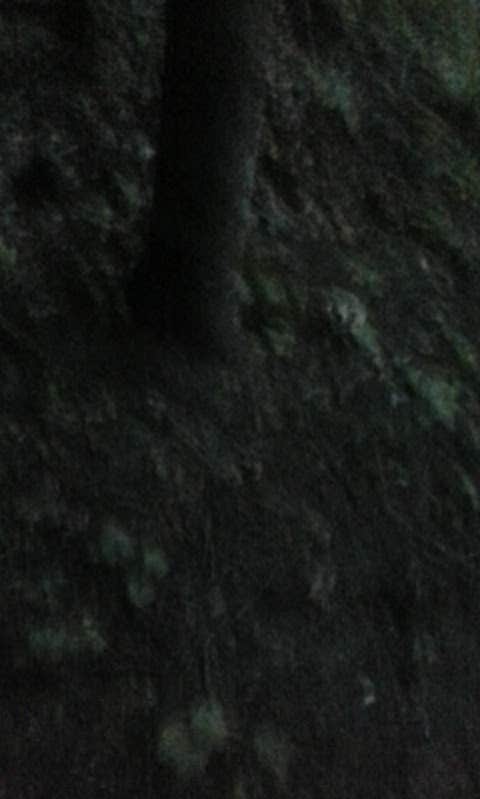 Camper-submitted photo at Beaver Falls County Park near Morton, MN