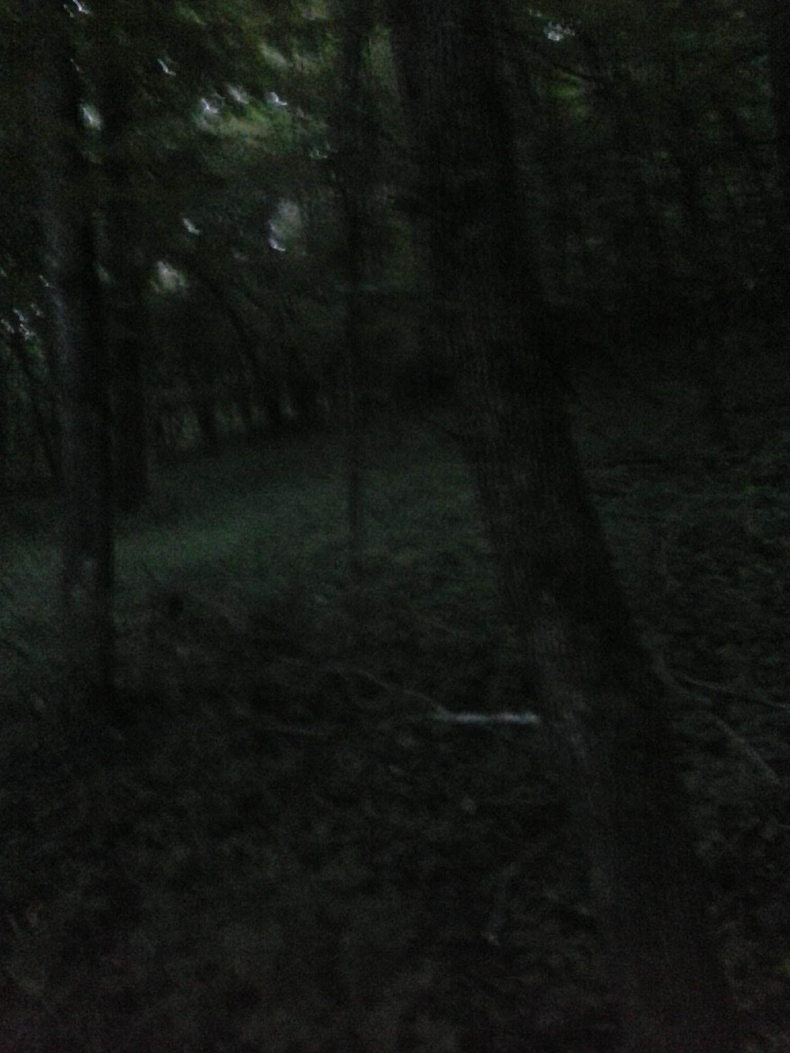 Camper-submitted photo at Beaver Falls County Park near Morton, MN