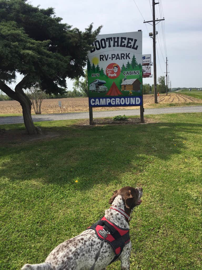 Camper-submitted photo at Bootheel RV Park near Troy, TN