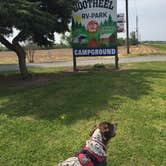 Review photo of Bootheel RV Park by MickandKarla W., April 29, 2021