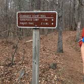 Review photo of Cheaha Falls Shelter by Asher K., June 1, 2018