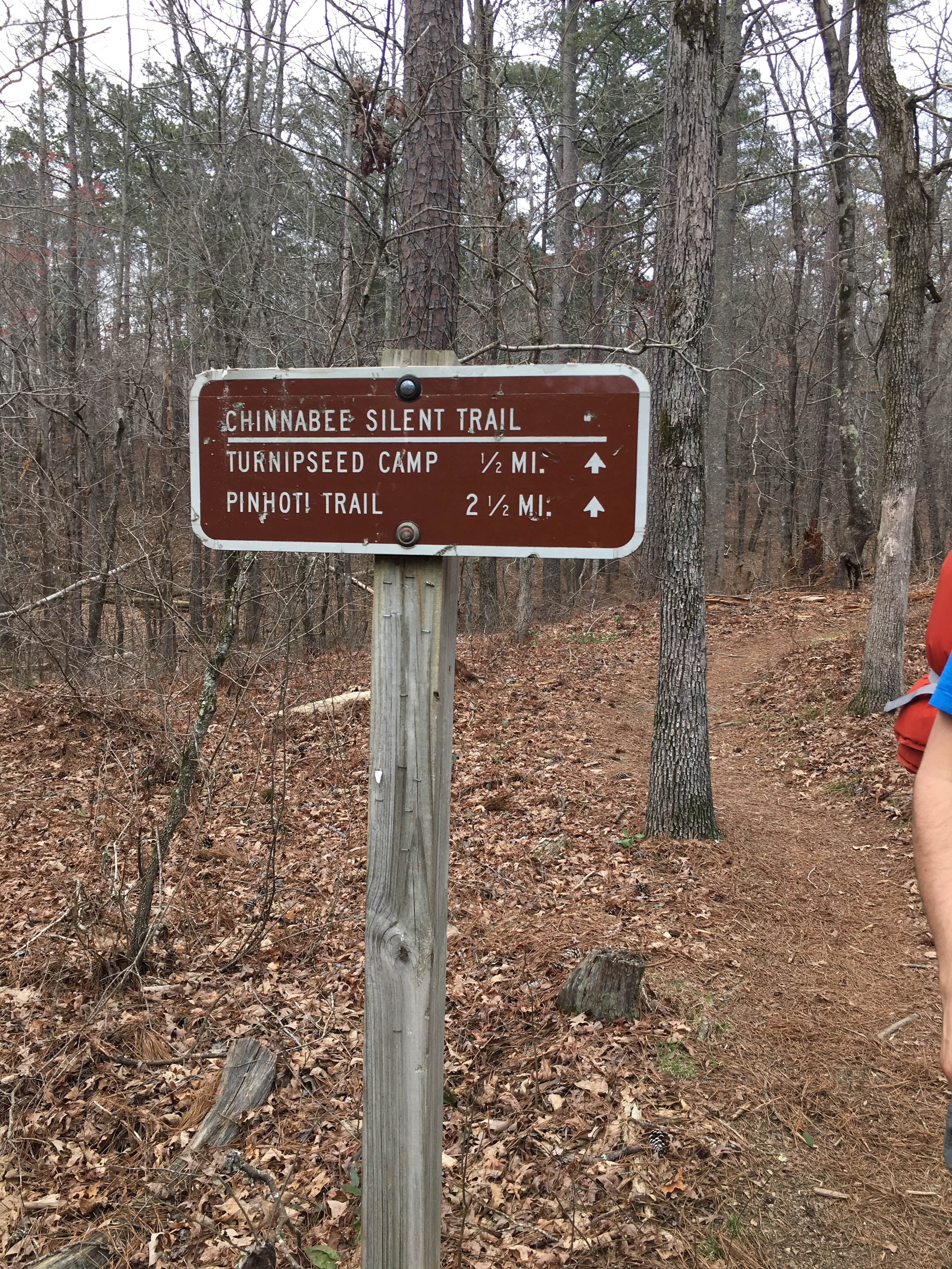 Camper submitted image from Cheaha Falls Shelter - 5