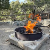 Review photo of Pinon Flats Campground — Great Sand Dunes National Park by Emily M., April 29, 2021
