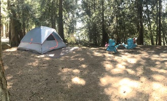 Camping near Thousand Trails Paradise: Mayfield Lake Park, Mossyrock, Washington