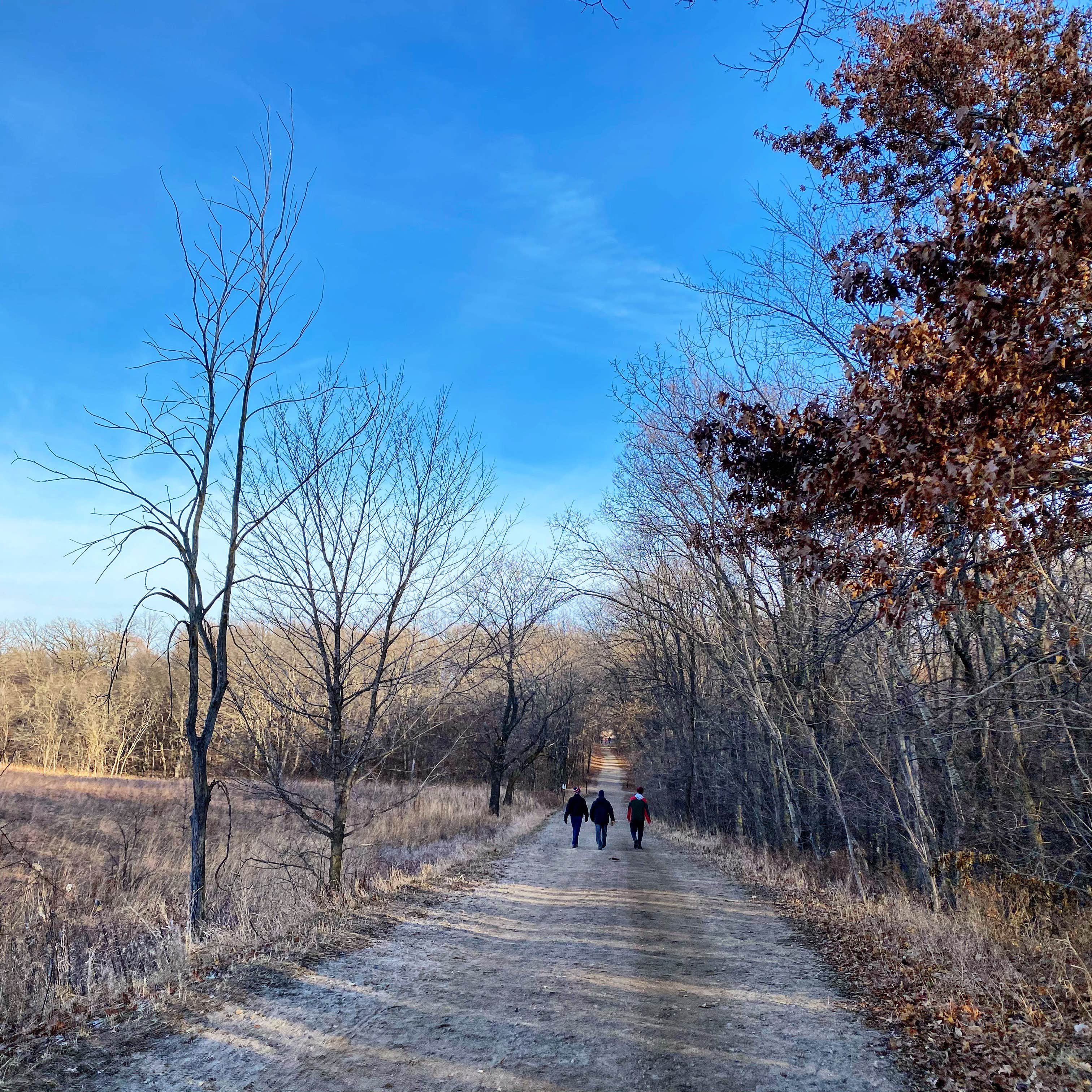 Camping near Bertram Chain of Lakes Regional Park Campground: Crow Hassan Park Reserve, St. Michael, Minnesota