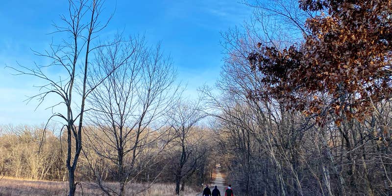 Camper submitted image from Crow Hassan Park Reserve