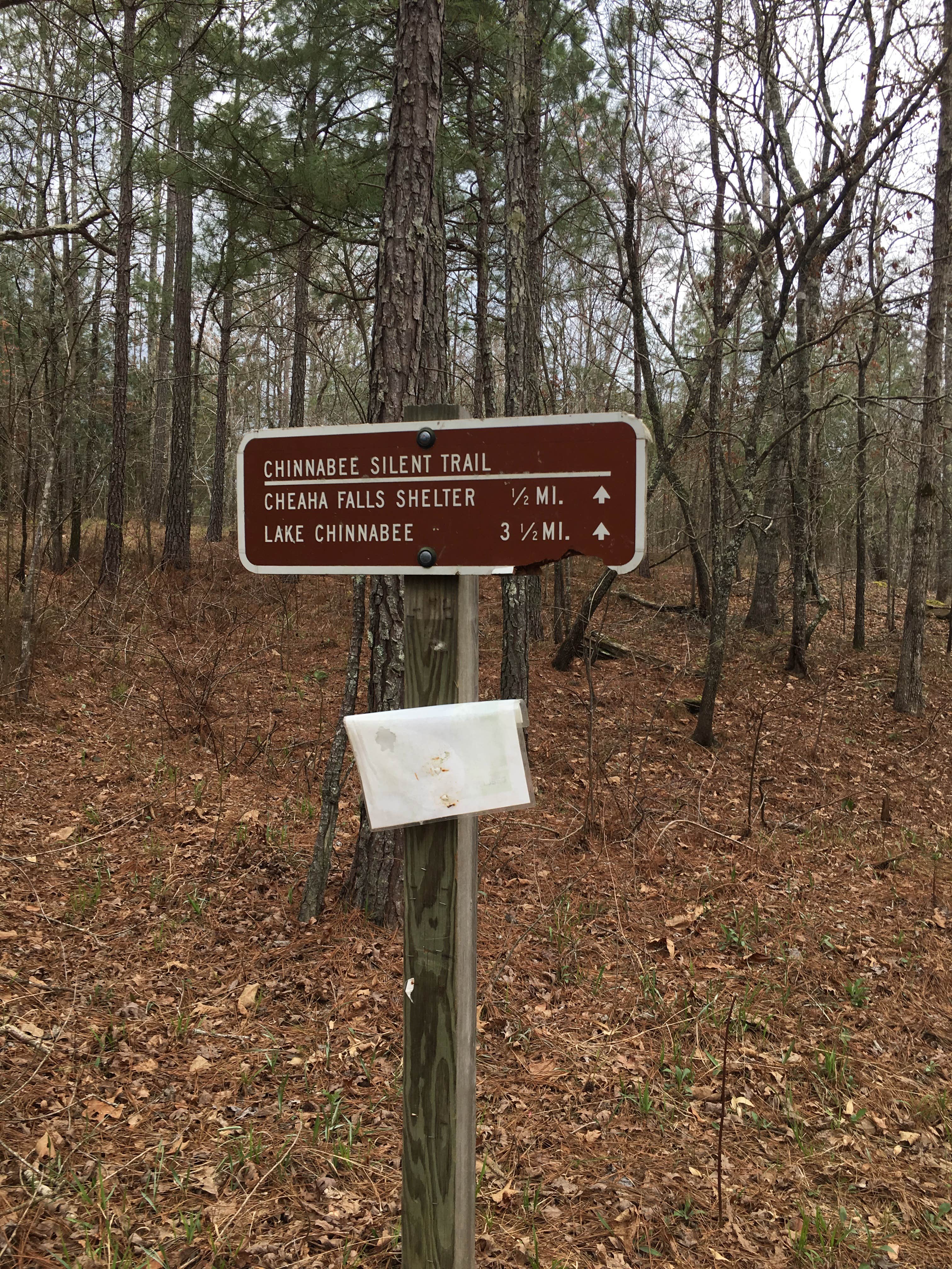 Camper-submitted photo at Cheaha Falls Shelter near Weaver, AL