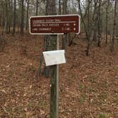 Review photo of Cheaha Falls Shelter by Asher K., June 1, 2018