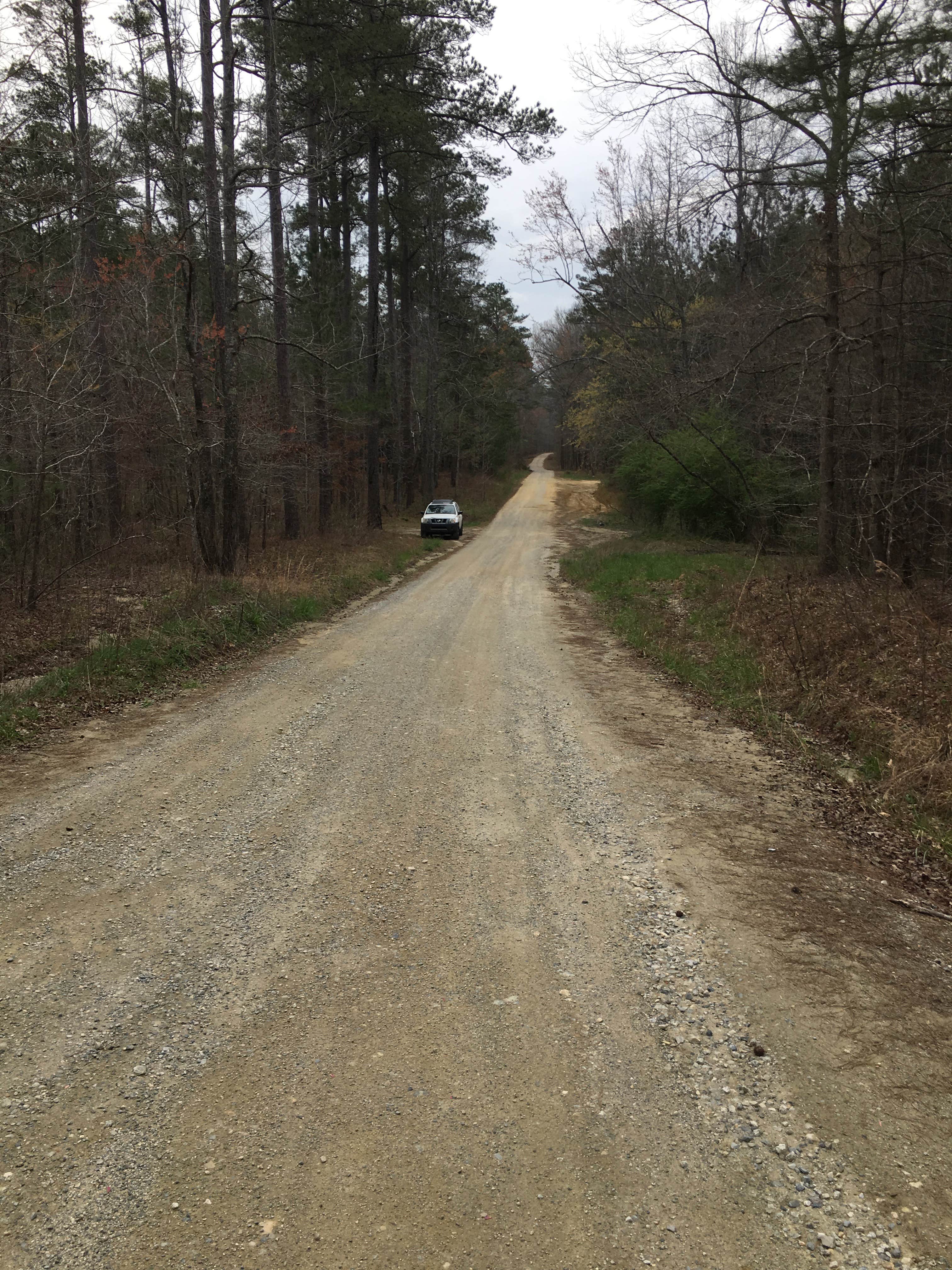 Camper submitted image from Cheaha Falls Shelter - 4