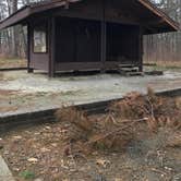 Review photo of Cheaha Falls Shelter by Asher K., June 1, 2018