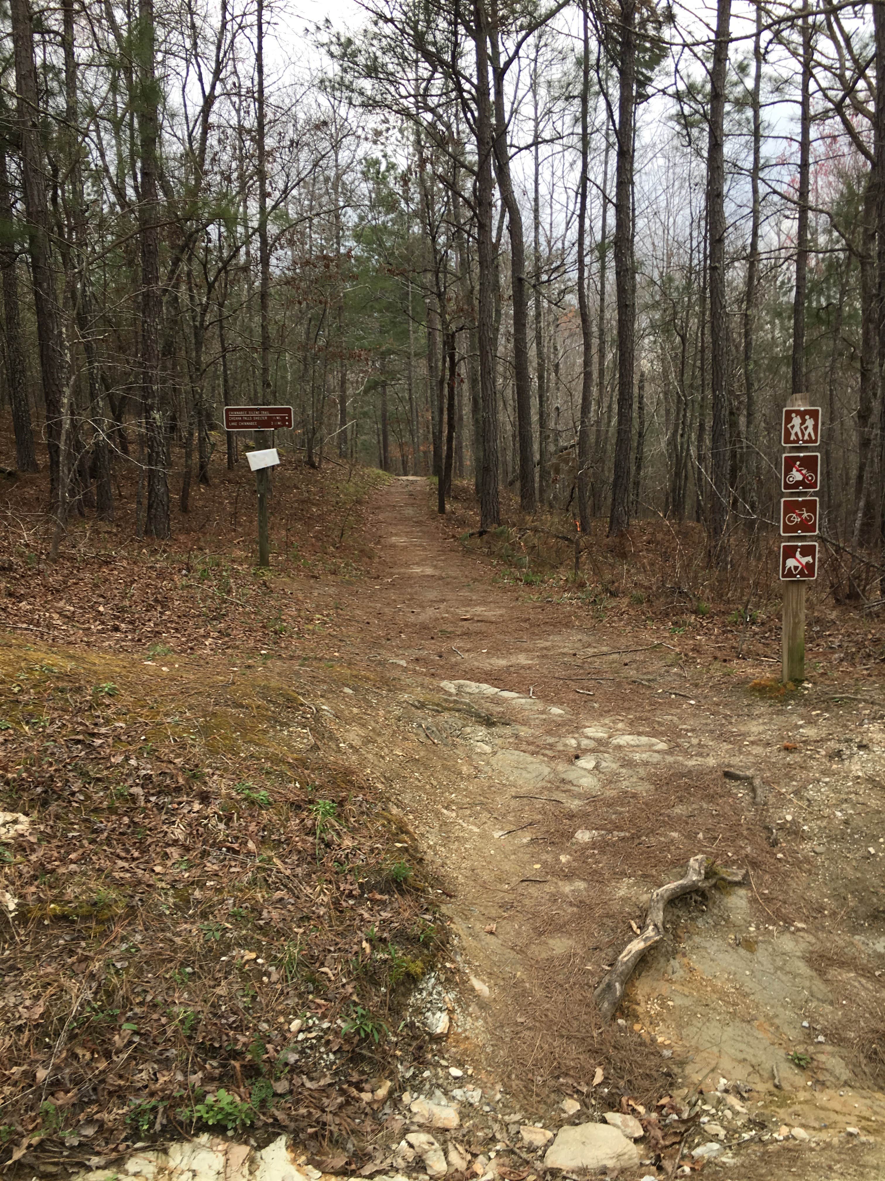 Camper-submitted photo at Cheaha Falls Shelter near Weaver, AL