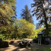 Review photo of Elk Prairie Campground — Prairie Creek Redwoods State Park by Julie W., April 29, 2021