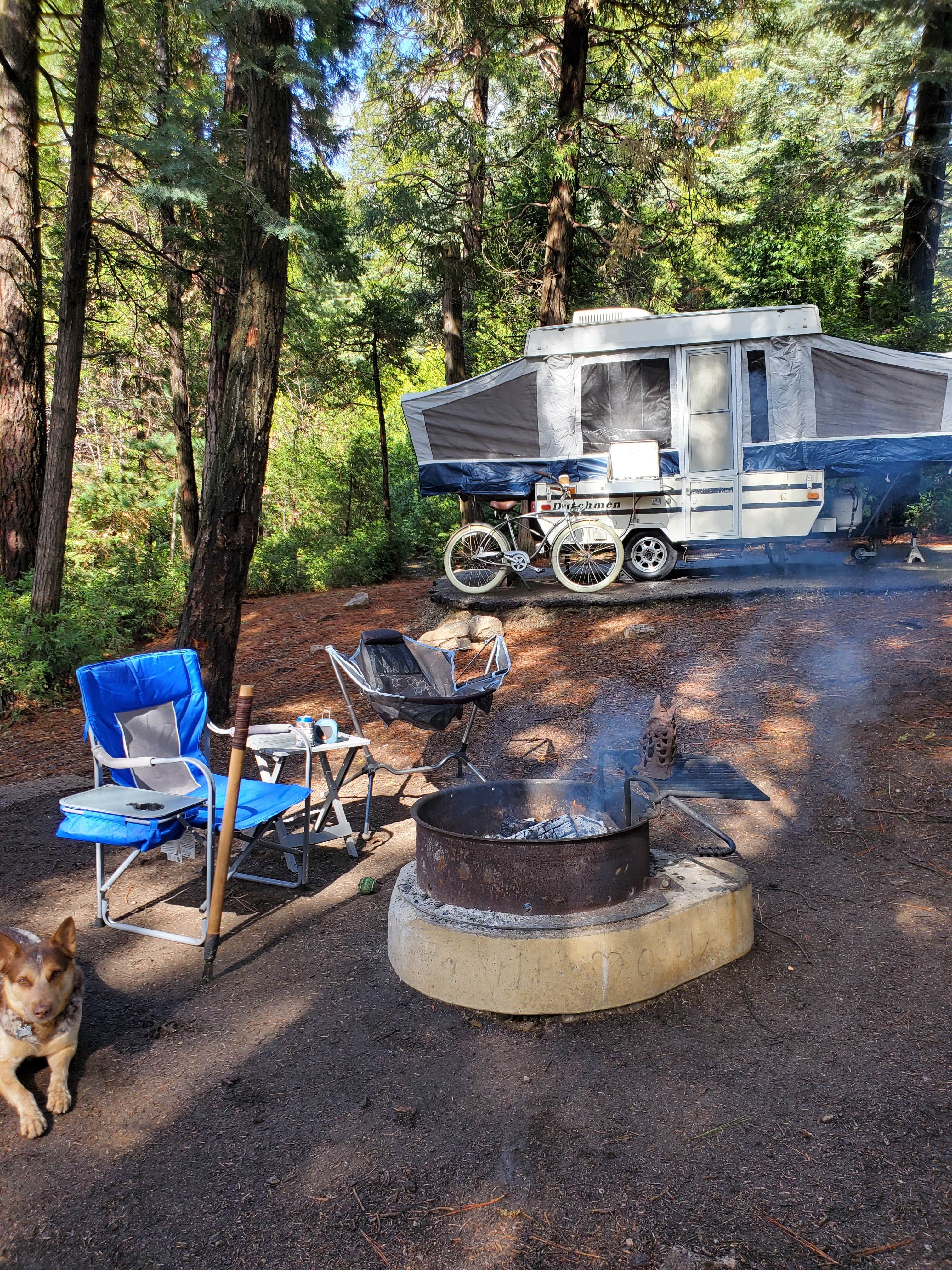 Oscar D.'s photo at Dogwood near Lake Arrowhead, CA