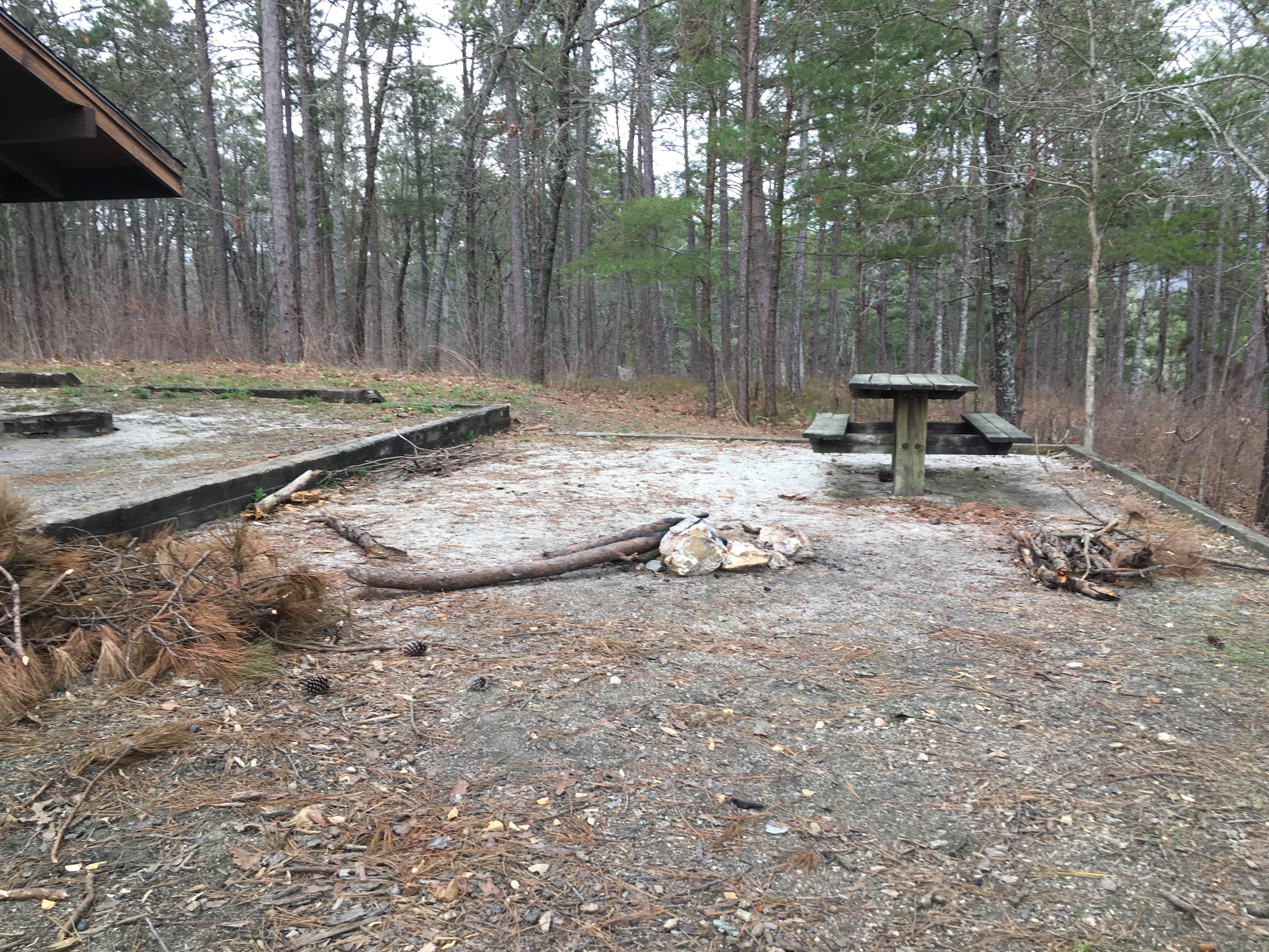 Camper submitted image from Cheaha Falls Shelter - 5