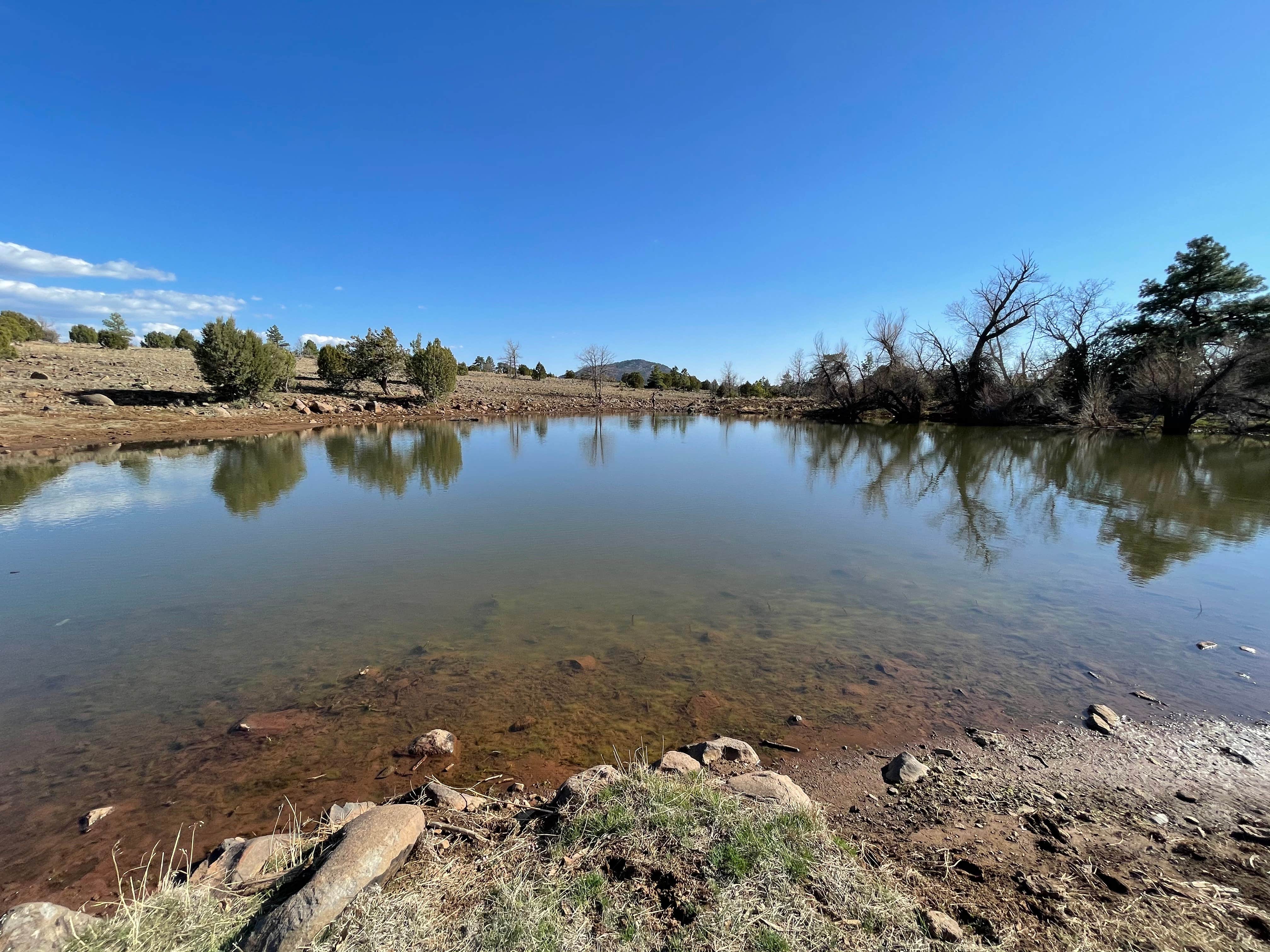 Camper submitted image from Stoneman Lake Dispersed Area - 3