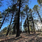 Review photo of Stoneman Lake Dispersed Area by Doug C., April 29, 2021