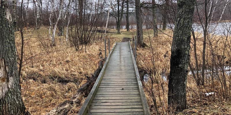 Camper submitted image from Gulch Lake Campground —Paul Bunyan State Forest