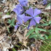 Review photo of Barkcamp State Park Campground by Darrel and Mary W., April 29, 2021