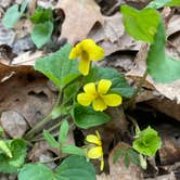 Review photo of Barkcamp State Park Campground by Darrel and Mary W., April 29, 2021