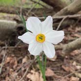 Review photo of Barkcamp State Park Campground by Darrel and Mary W., April 29, 2021