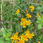 Review photo of Barkcamp State Park Campground by Darrel and Mary W., April 29, 2021