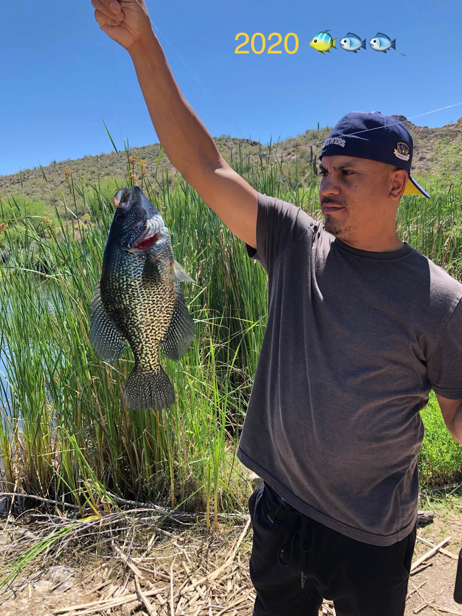 Camping near Primrose Estates Mobile Home & RV Park: Orangewood Shadows RV Resort (55+), Mesa, Arizona