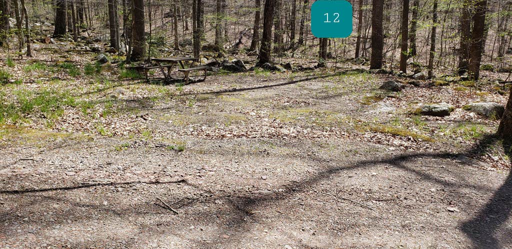 Camper submitted image from Plum Orchard Lake WMA - 4