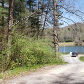 Review photo of Plum Orchard Lake WMA by Jean C., April 29, 2021