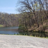 Review photo of Plum Orchard Lake WMA by Jean C., April 29, 2021