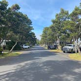 Review photo of South Beach State Park Campground by Michael C., April 30, 2021