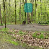 Review photo of Glade Creek Campground — New River Gorge National Park and Preserve by Jean C., April 30, 2021