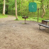 Review photo of Glade Creek Campground — New River Gorge National Park and Preserve by Jean C., April 30, 2021