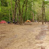 Review photo of Glade Creek Campground — New River Gorge National Park and Preserve by Jean C., April 30, 2021