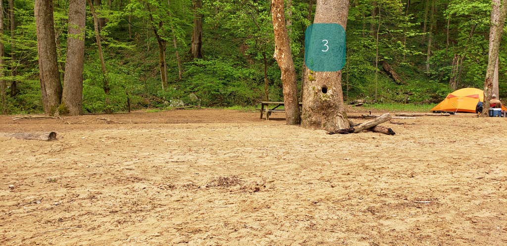 Best Camping In R D Bailey Lake The Dyrt