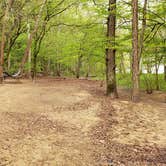 Review photo of Glade Creek Campground — New River Gorge National Park and Preserve by Jean C., April 30, 2021