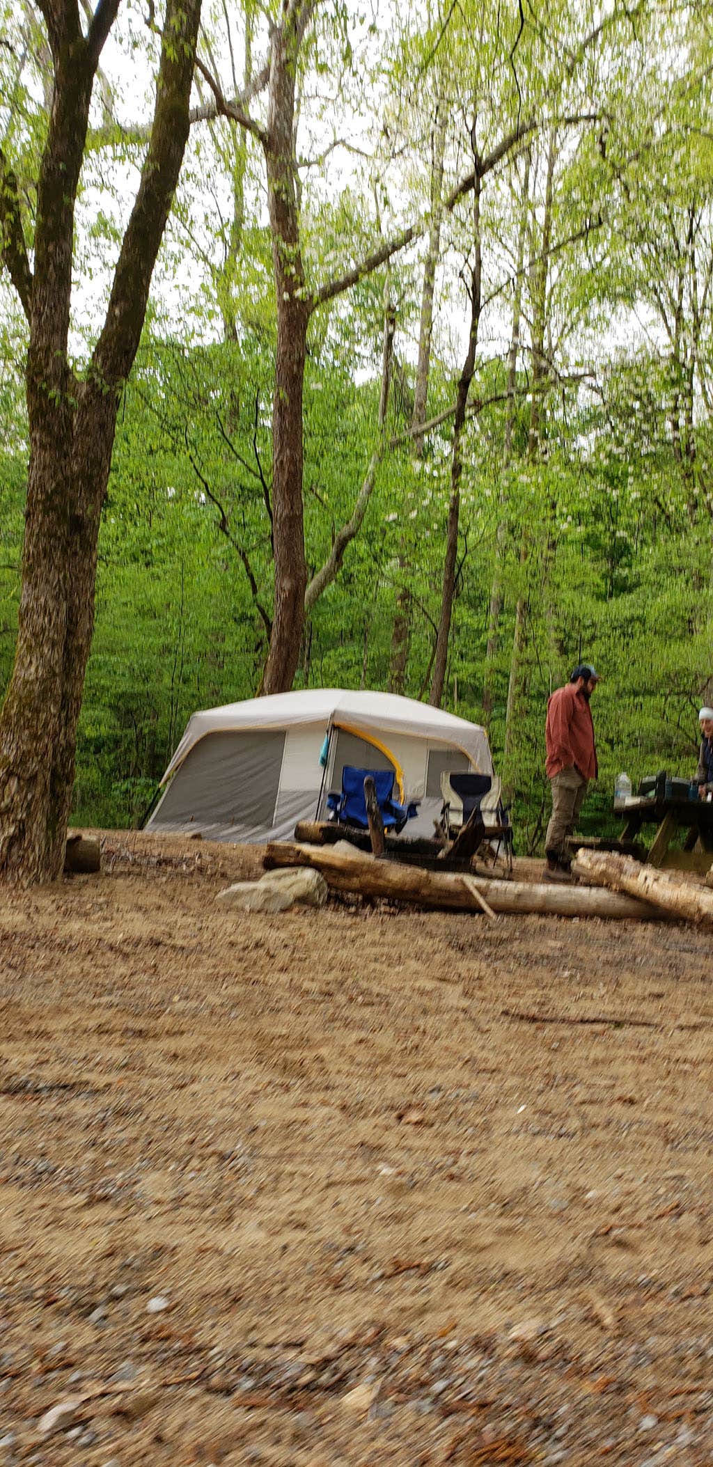 Jean C.'s photo at Glade Creek Campground — New River Gorge National Park and Preserve near Sandstone, WV