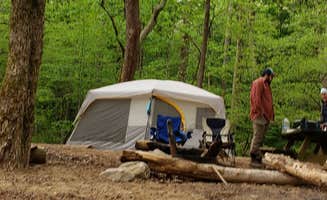 Jean C.'s photo at Glade Creek Campground — New River Gorge National Park and Preserve near Scarbro, WV