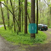 Review photo of Glade Creek Campground — New River Gorge National Park and Preserve by Jean C., April 30, 2021