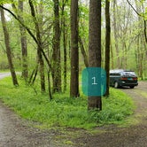 Review photo of Glade Creek Campground — New River Gorge National Park and Preserve by Jean C., April 30, 2021