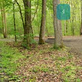 Review photo of Glade Creek Campground — New River Gorge National Park and Preserve by Jean C., April 30, 2021