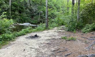 Camping near Cheaha Falls Campground: Riverside Skyway Loop Backcountry Site, Munford, Alabama