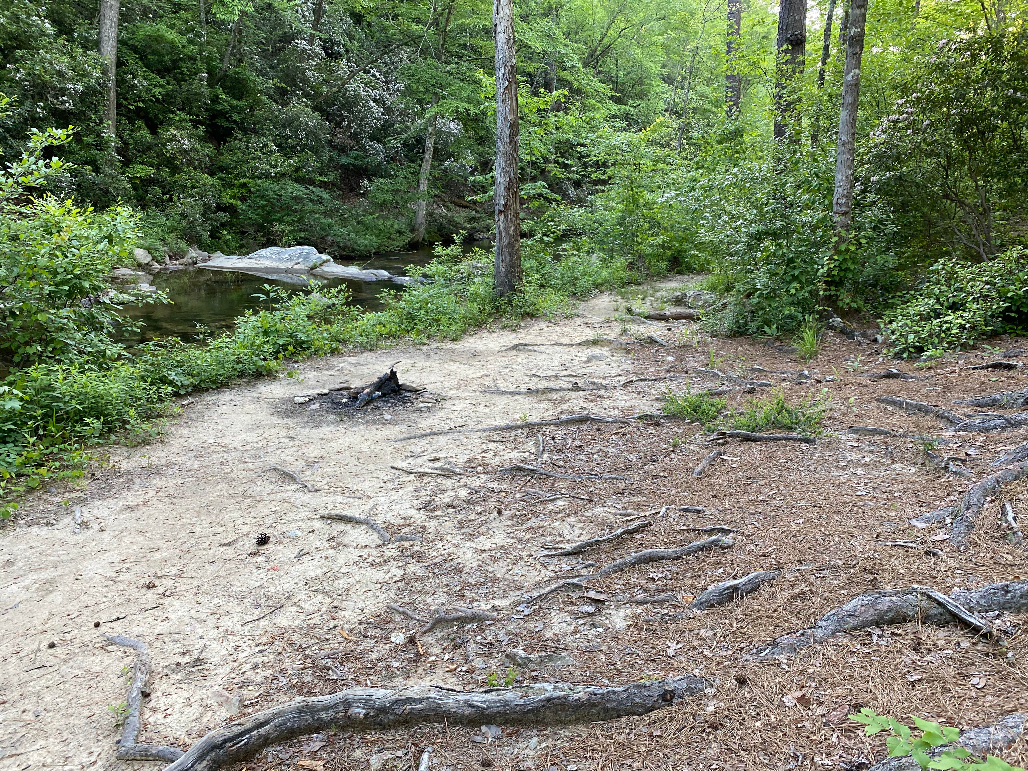 Camper submitted image from Riverside Skyway Loop Backcountry Site - 1