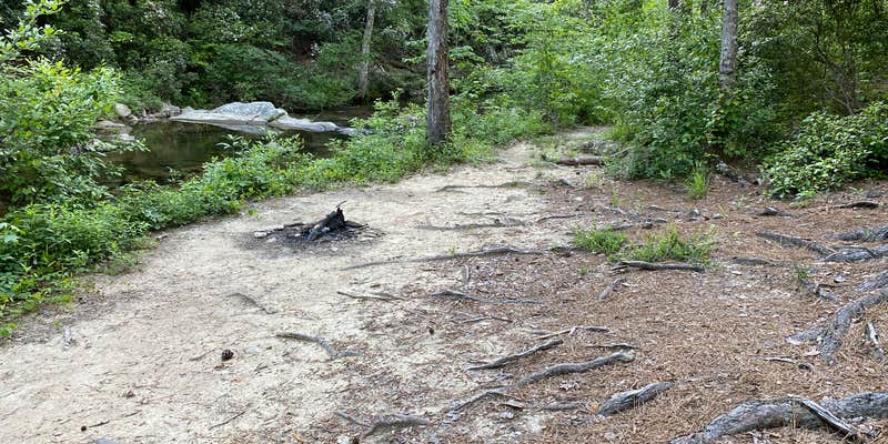 Camper submitted image from Riverside Skyway Loop Backcountry Site