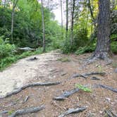 Review photo of Riverside Skyway Loop Backcountry Site by Asher K., April 30, 2021