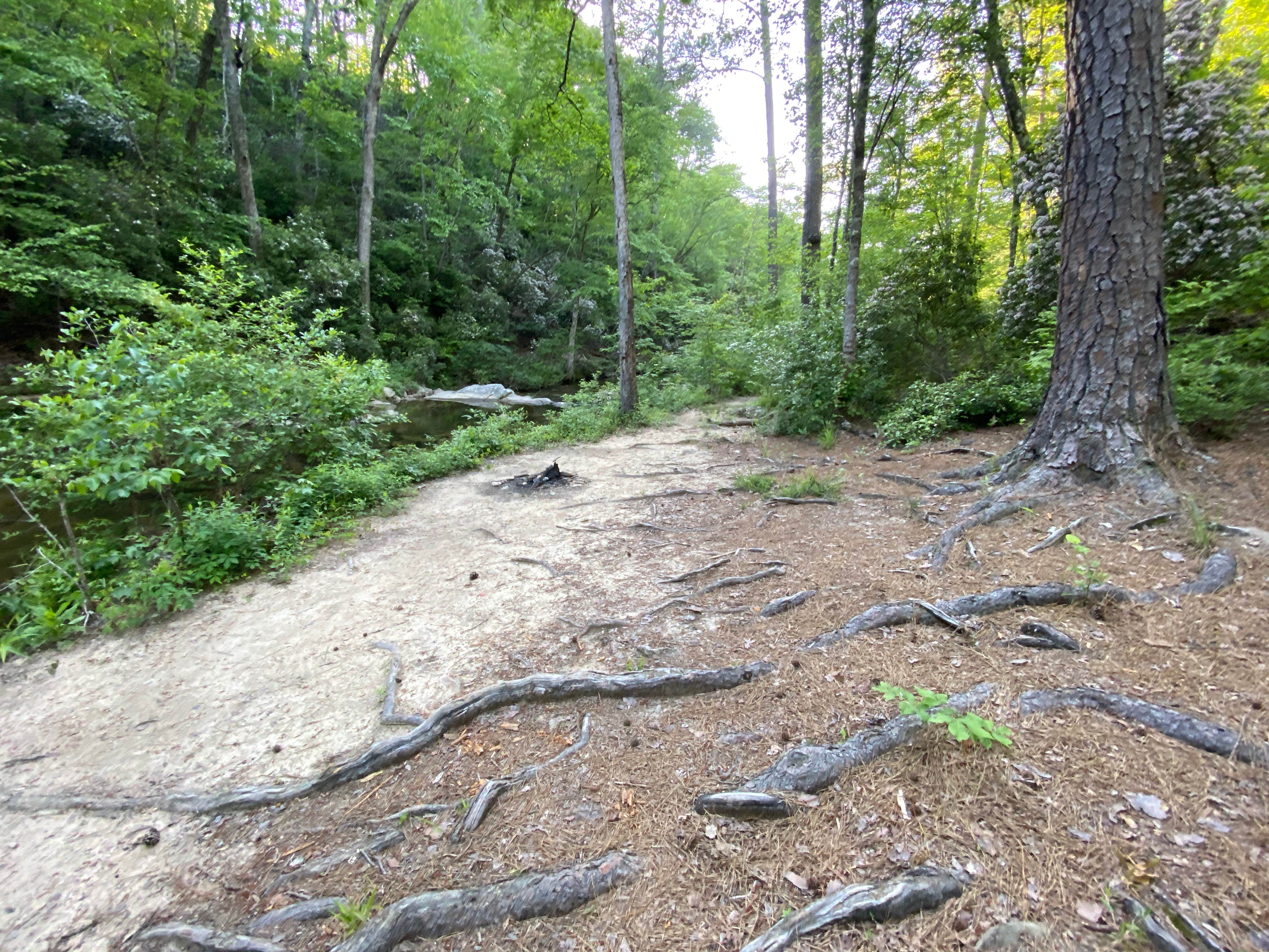 Camper submitted image from Riverside Skyway Loop Backcountry Site - 5